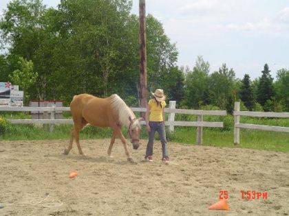 photo par tinaR