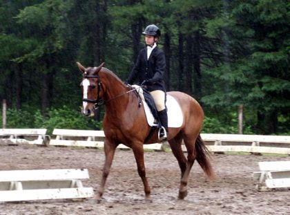 Moi et Jolly au concours de dressage chez EGC sous la pluie...18...