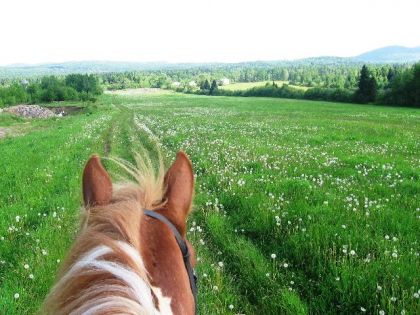 Lou,lors de notre randonnée dans les champs