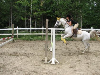 Moi et Figaro sur un oxer!!!  Commentez ma position!!!