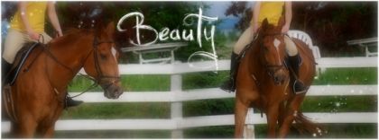 Comment trouvez-vous mon montage?