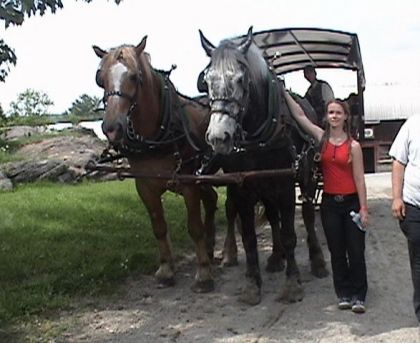 Me voici à côté d'un énorme percheron de 18,2 mains au Baluchon!