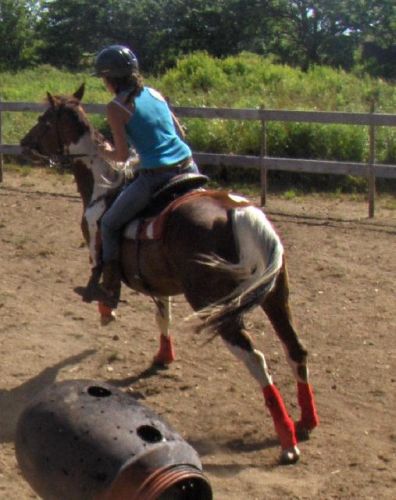 moi et beauty a l'entrainement !