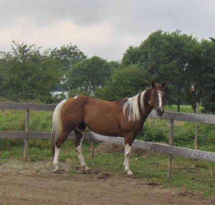beauty mon amour!