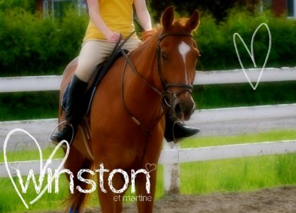  (&macr;`&middot;._.&middot; Winston et Martine.  &middot;._.&middot;&acute;&macr;)