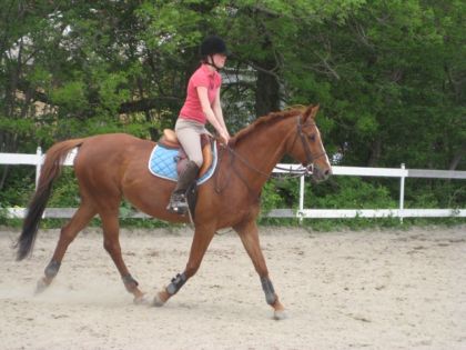 Au trot relaxe... :)
