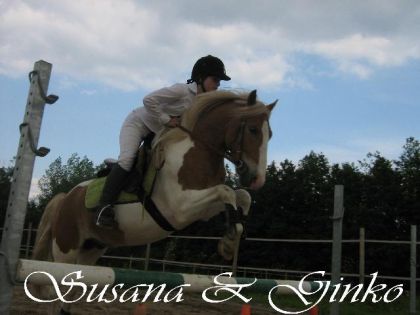 Mon ginko et moi Obstacle