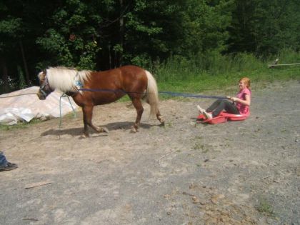 YAHOO :P .. Initiation a l'attelage pour les enfants :P