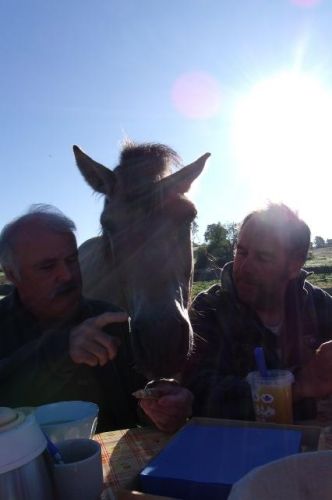 dejeuner avec les chevaux gérar quenote et idier