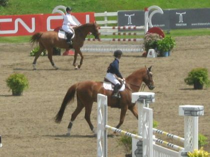 Ils sont tellement beaux...Bromont