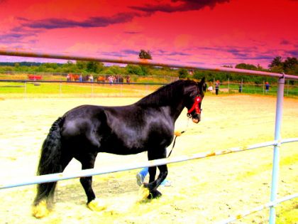 photo par meltattoo