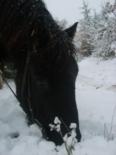 Rando dans la Neige :D