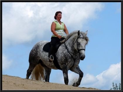 J'adore les couleurs qui ressortent de mon cheval. :)