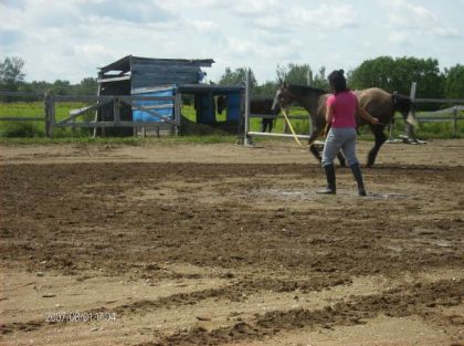 ma mère qui longe Pined au galop