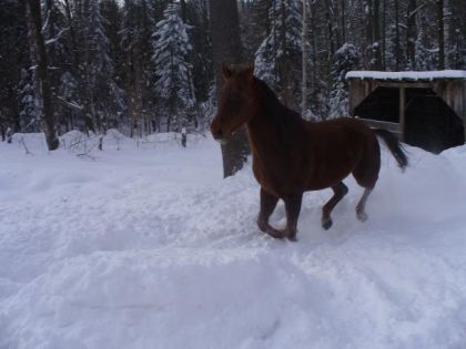 c`était une grosse scéance de photo!