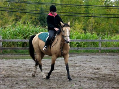 souvenir de moi et daphn&eacute;e mon ancienne demi-&ecirc;nsion... elle me...