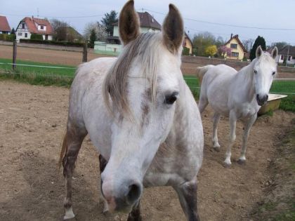 voila la fille devant et la mere derriere elle sont pas belle ?!...