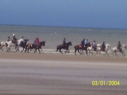 dsl pour la qualite de limage moi je suis le dernier cheval