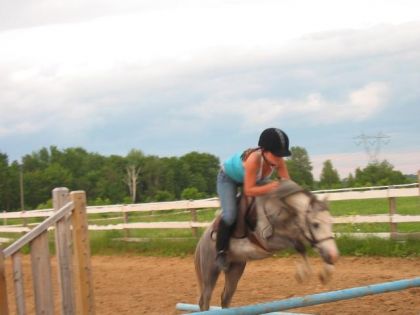 Regardez pas ma position mais regardez le poney (L)