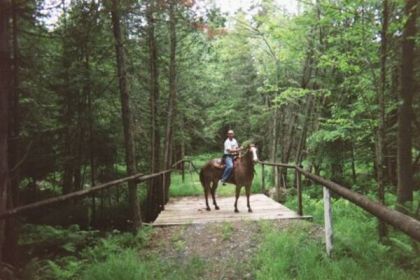 Halte en randonnée à cheval
