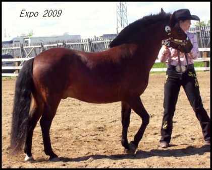 Expo de St-fé avec Jegger, ouff on était stresser!