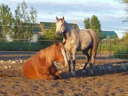 Bonita et Shany