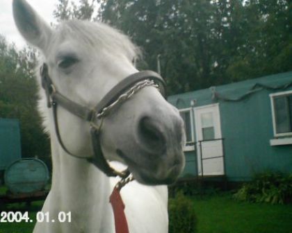 Photos de au debut de lautomne 2008 !