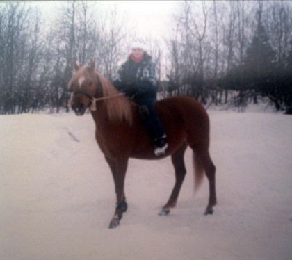 C'est moi quand j'avais 7 ans sur ma première petite jument!!!