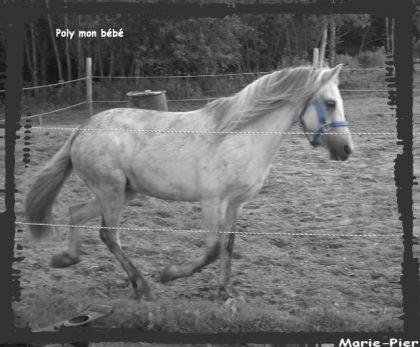 photo par Mariepier4