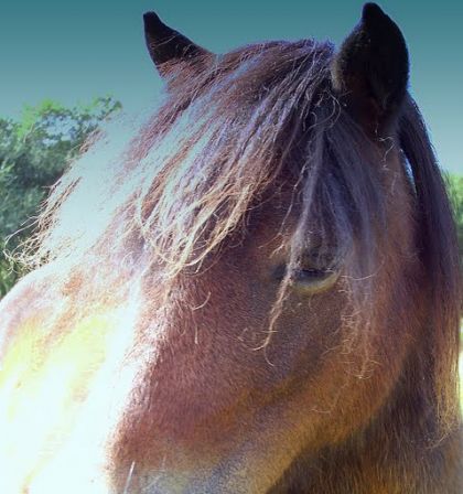 photo par VaVa92 Un angle parfait de Maloute