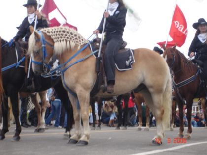 parade de st tite 2006