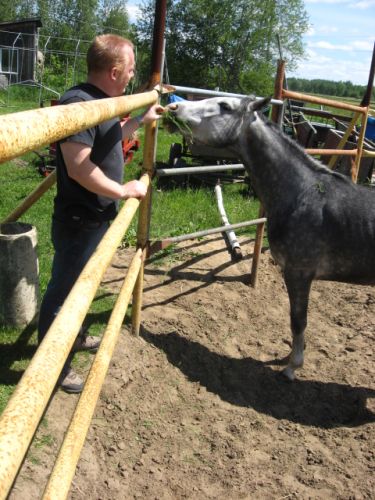 haha nenon cpas un poney ^^ ya l'aiir tout ptit &agrave; cot&eacute; dmon pere...