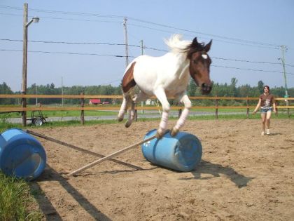 elle charge sa pas d'allure :O !!! mais quand elle va moin vite...