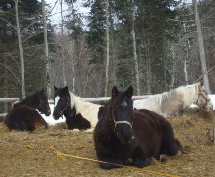 tout le monde se repose!!