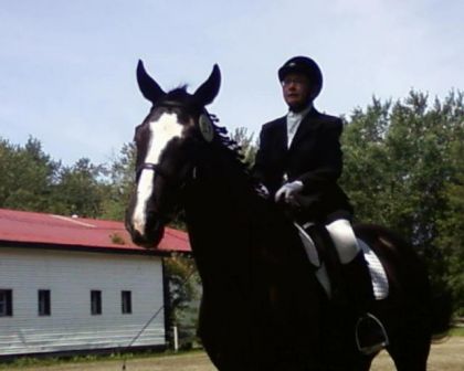 Virament Fuking Belle Photo a Lécurie Dressage st-laurent