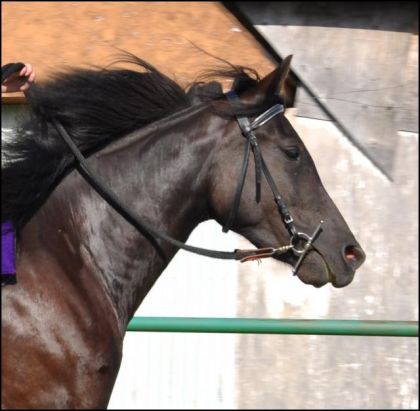 photo par Kelxrider