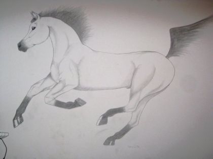 Un cheval que j'ai fait sur mon mur de chambre. :-)