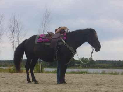me voici avec mimi (qui était pleine de nara) a mon stage...