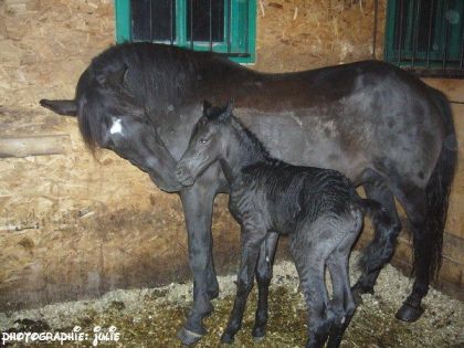 sonara a sa naissance :) elle avait quelques heures :)