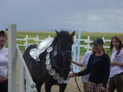 N&eacute;mo D&eacute;guisser En Cheval Duu Futur