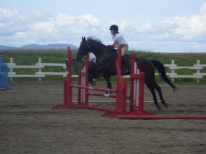 V&eacute;ro && dancer sur le oxer