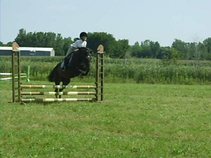  Moi && Foxy