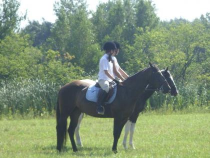 Moi && Foxy Et Satine && Julianne