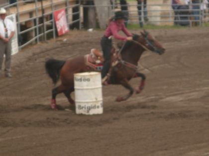 St-Brigide 2009  BARRELL RACINGG