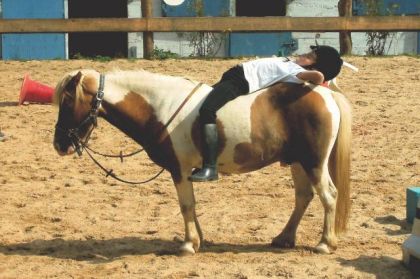 photo par VaVa92 Ma soeur et son poney préféré Jumbo