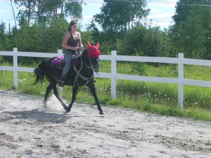 mimi en pleine cession a la jambe :P mais en western XD