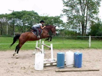 Chasse poney!? Oh yeahh =)