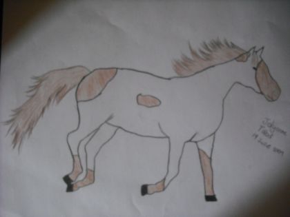 dessin que jai fait
