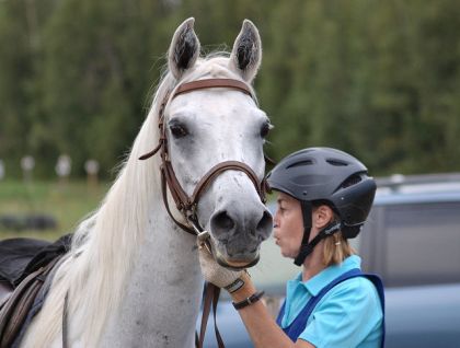 trec oka 2009