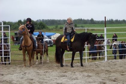 Festival de Belcourt